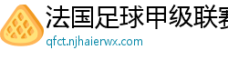 法国足球甲级联赛